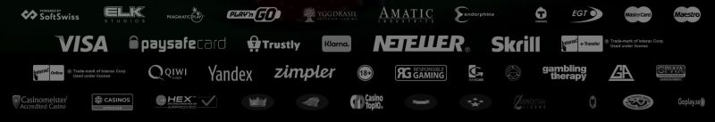 N1 casino maksutavat