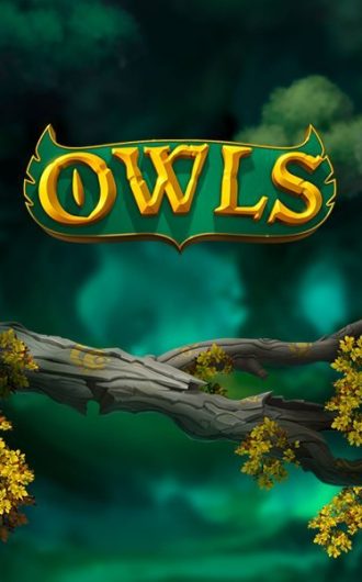 owls slotti on erinomainen peliuutuus