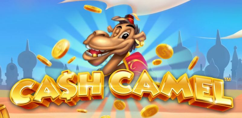 Cash Camel ulkoasu