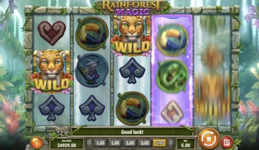 Rainforest Magic pelinäkymä