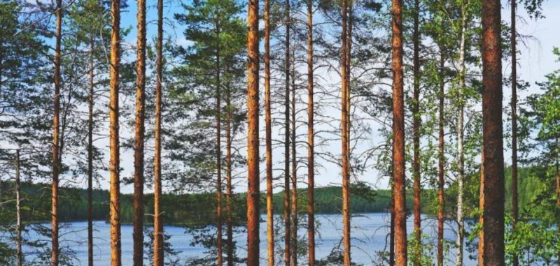 Suomalaiset kasinot