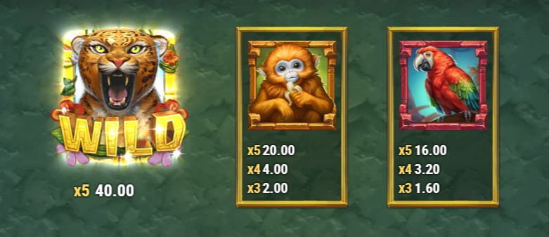 Rainforest Magic korkeat symbolit