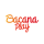 Bacana Play logo