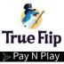 True Flip Casino