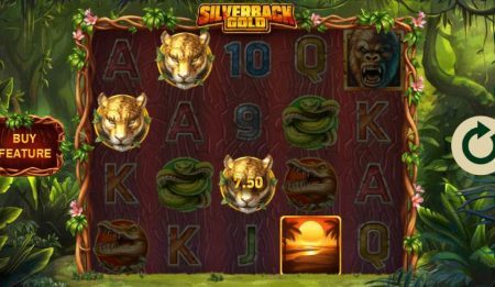 Silverback Gold voitto