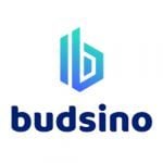 Budsino Casino logo