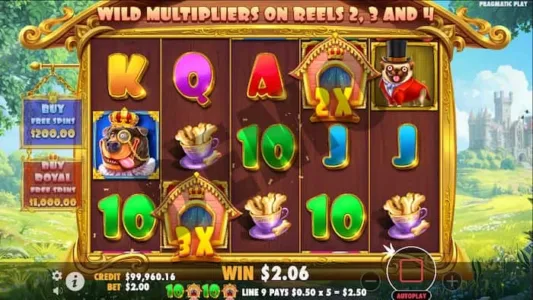 dog house royal hunt bonus