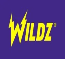 Logokuva kohteelle Wildz