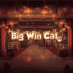 Big Win Cat