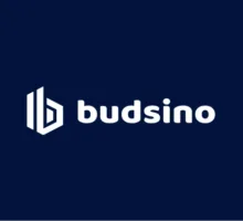 Logokuva kohteelle Budsino